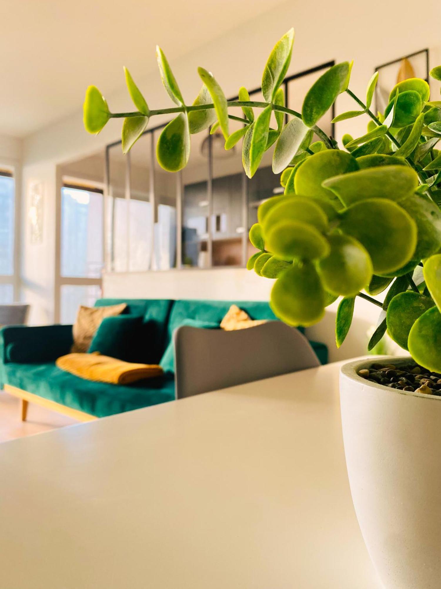Spacieux Appartement Lumineux Брест Екстер'єр фото